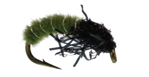 Cat's Caddis Larva - Green